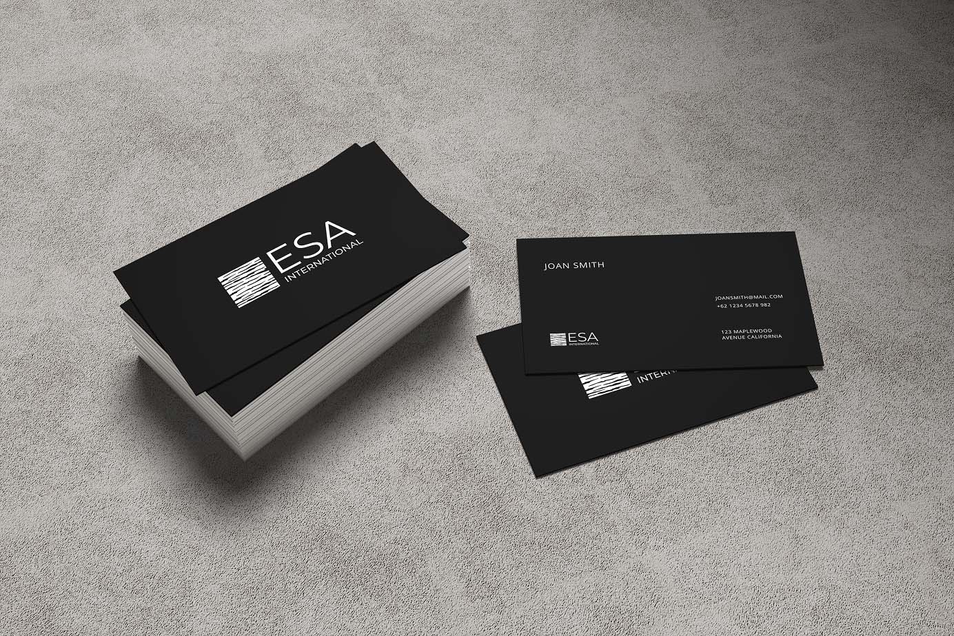 Esa International mockup 5
