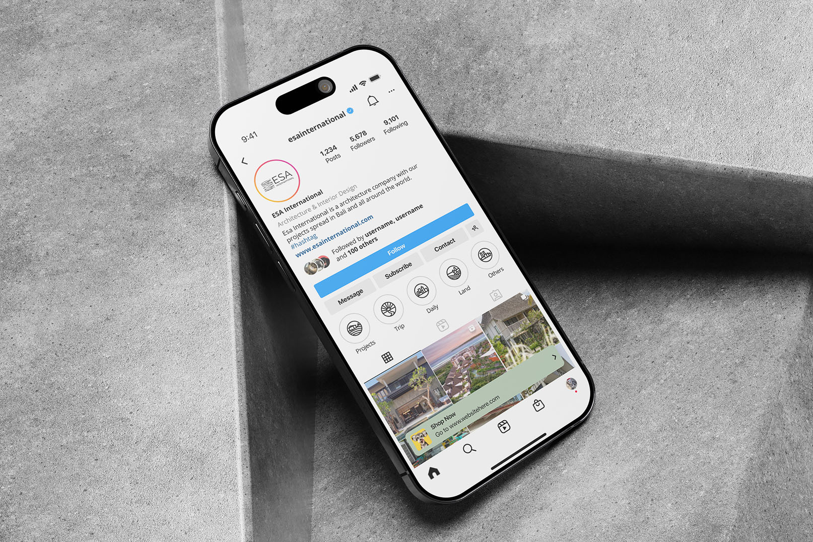 International company website mockup for Esa International